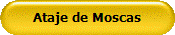 Ataje de Moscas