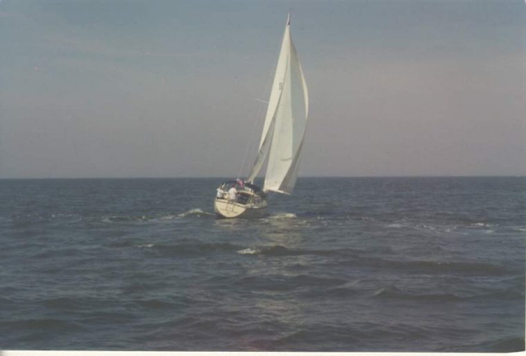 What's her name, Greg?