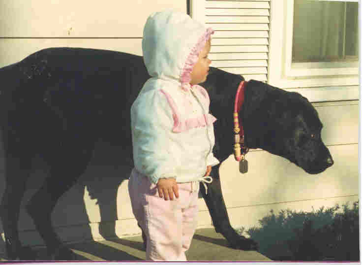 Michigan labrador Retriever Rescue