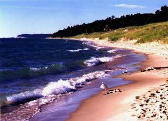 They've gone...where the beach umbrella was...the sand not quite so hot...anon