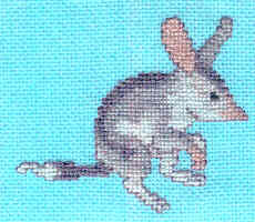 bilby
