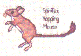 Spinifex Hopping Mouse