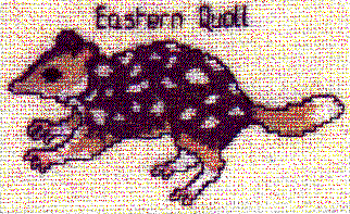 Eastern Quoll