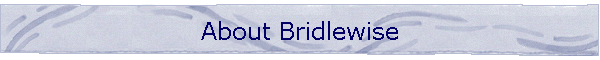 About Bridlewise