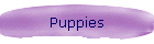 Puppies