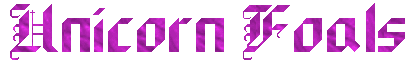 Unicorns Foal