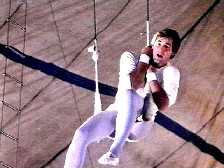 Leaping In Without A Net