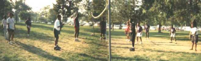 Serious Volleyball game in action.