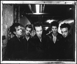 Image of virgosphoto2.gif