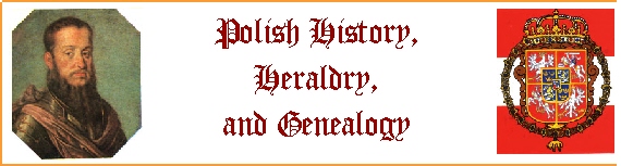 Polish Logo