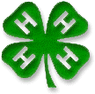 4-H clover