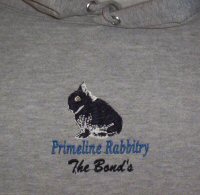 Embroidered Garments