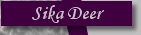 Sika