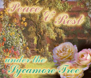 Under the Sycamore Tree by Bryan and Jenna