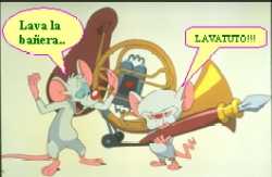 PINKY Y CEREBRO