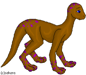 Rejanul, Purple Male, Unknown Parentage