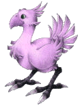 Purple Chocobo