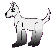 Sunbloom's Silver Star *^Silver^*