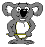koala