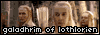 Dreamflower:  The Galadhrim of Lothlorien