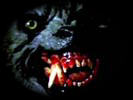 Click here for information on the Werewolf