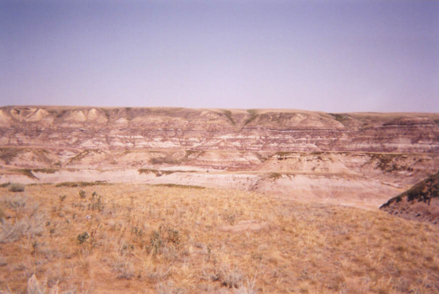 Dinosaur_Cliffs