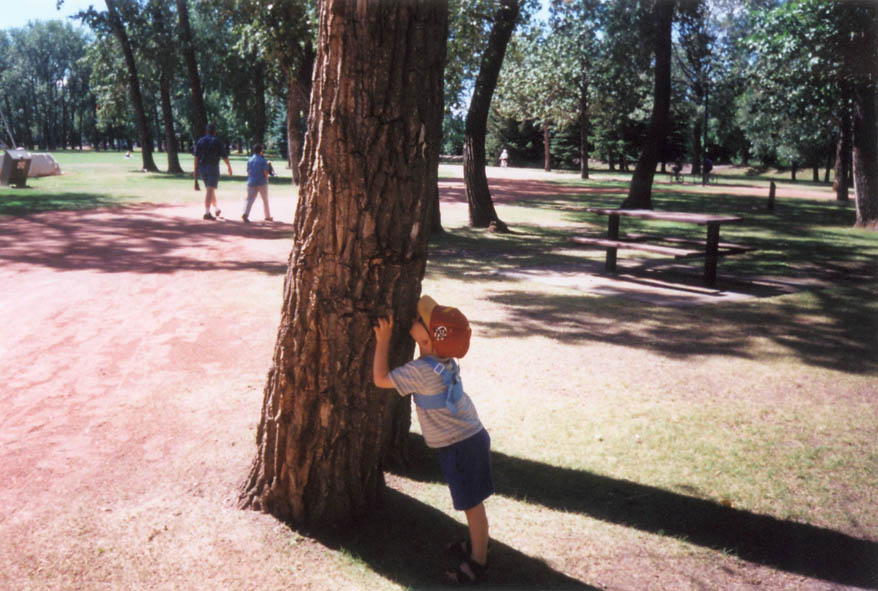 Tree_Hugger