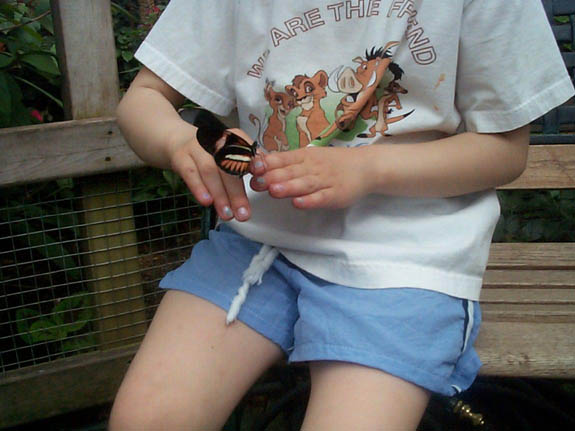 little_girl_with_butterfly