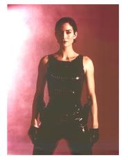 In Association with allwall.com