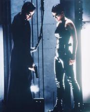 In Association with allwall.com