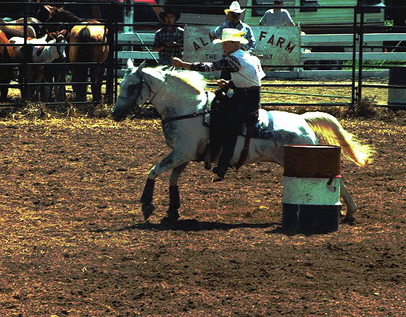Barbie Barrel Racing, With a Yellow Feather in Her Hat!
