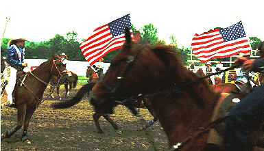 A Lovely Masterpiece Entitled [-Two American Flags Blocked By a Horses Head-]!