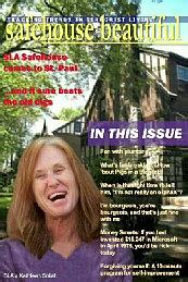 safe1x.jpg (52993 bytes)