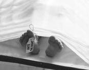 tagthetoe.jpg (10826 bytes)