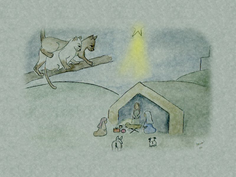 A Meezer's First Christmas