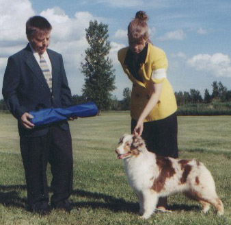 Reserve Winners Bitch