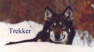 Trekker