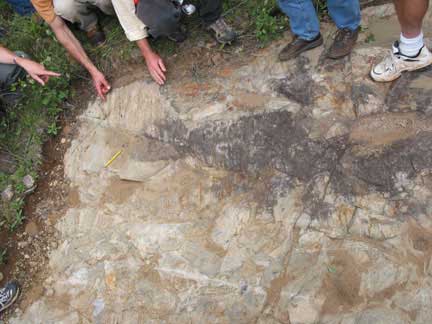 quartzite greenstone