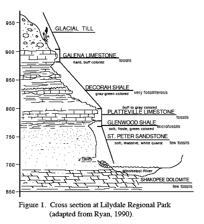 Lylidale Cross Section