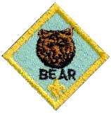 Bear Scout