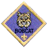 Bobcat Scout