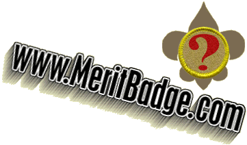 Merit Badge.com