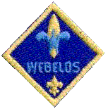 Webelos Scout