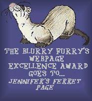 The Blurry Furry's Award Site