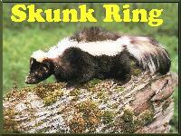 the skunk ring's homepage