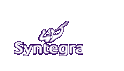 [Syntegra, Inc.]