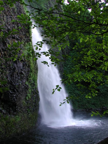 Horsetail Falls in the Columbia River Gorge