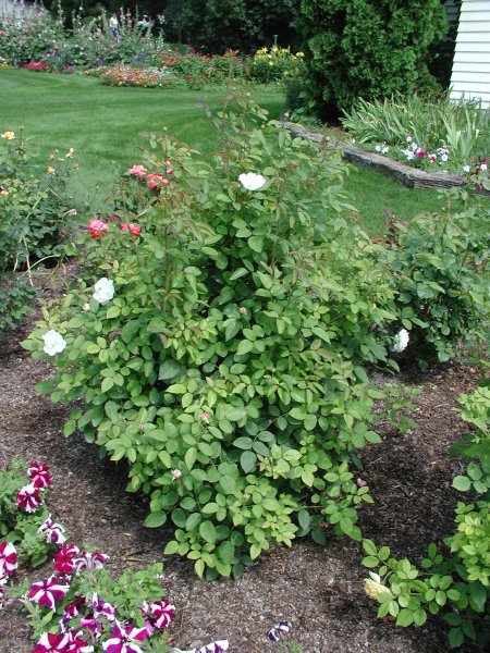 Winchester Cathedral