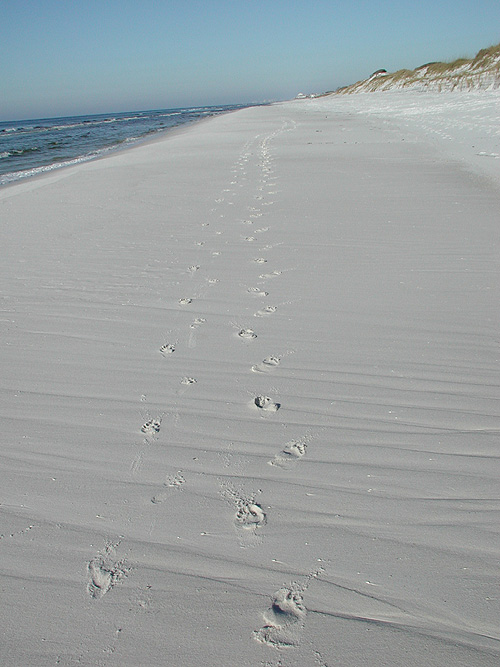 Our footprints in the sand