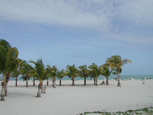 Crandon Park in Key Biscayne